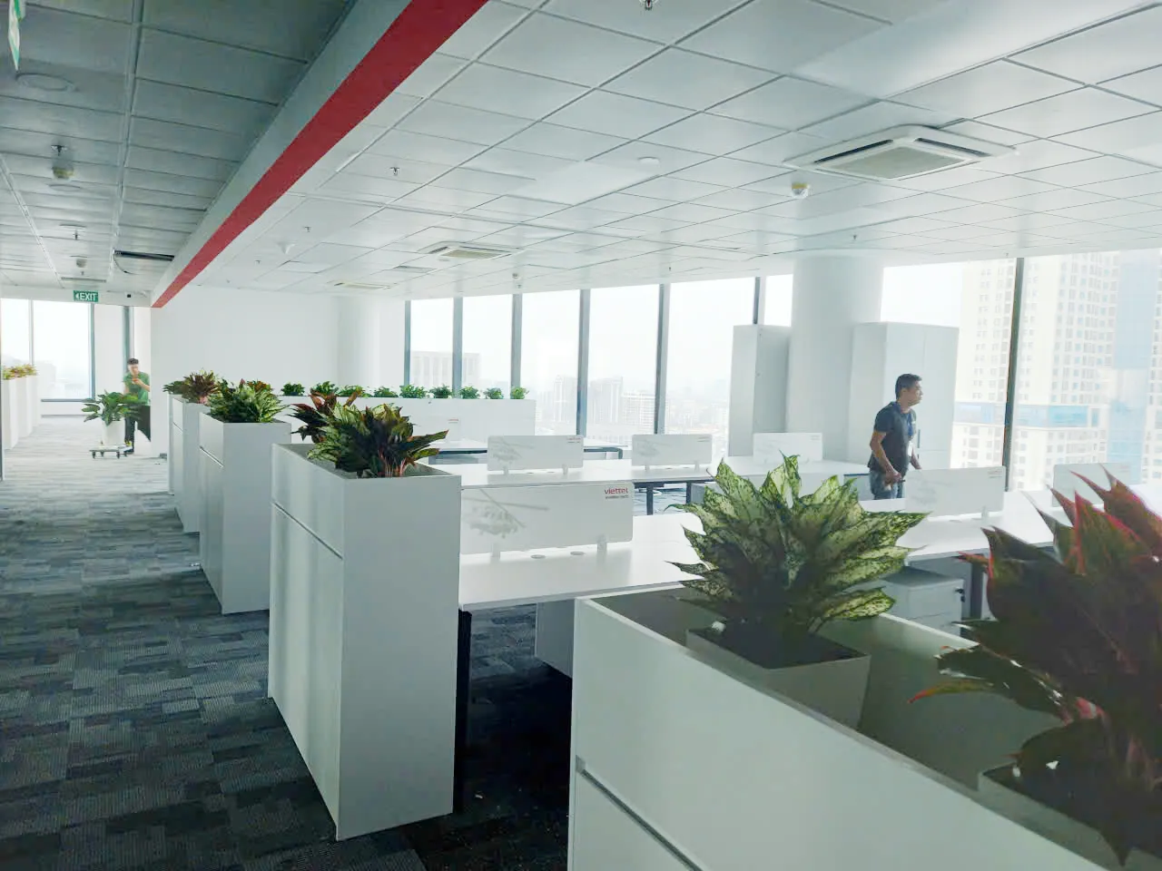 Dự án cây xanh văn phòng tại tòa nhà Vinacomin Tower tại Cầu Giấy Hà Nội của Green Homes